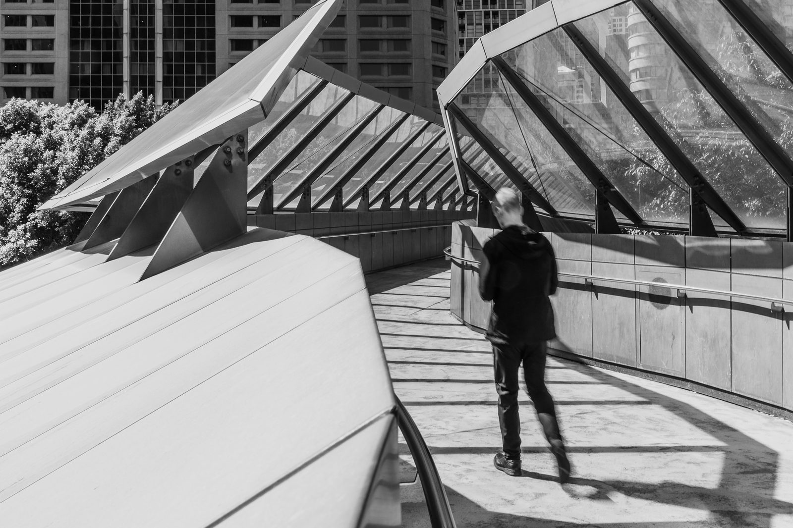 Darling Quarter Footbridge, Darling Harbour, Sydney | Walking away | 2025