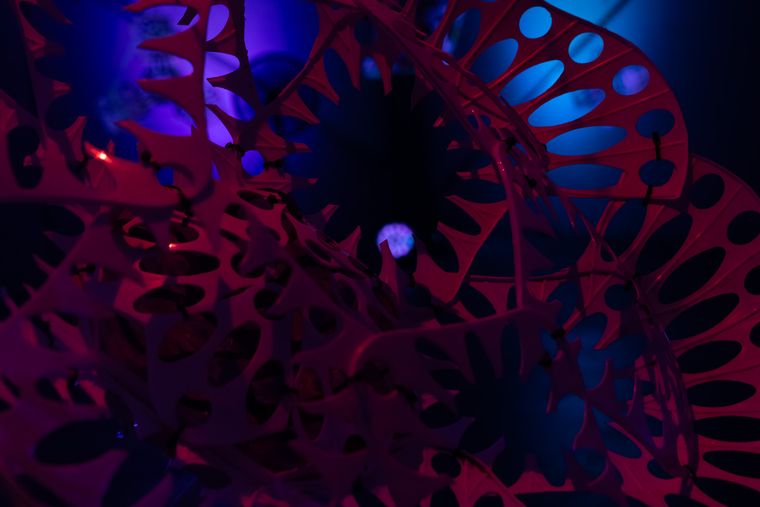 20250920 36a0987