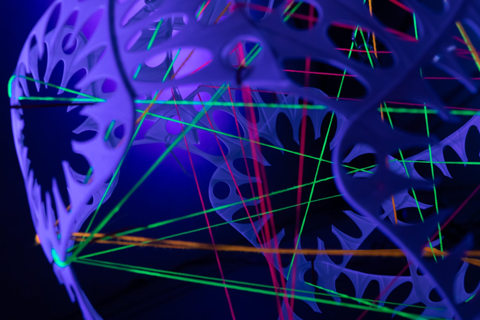 20250920 36a1019