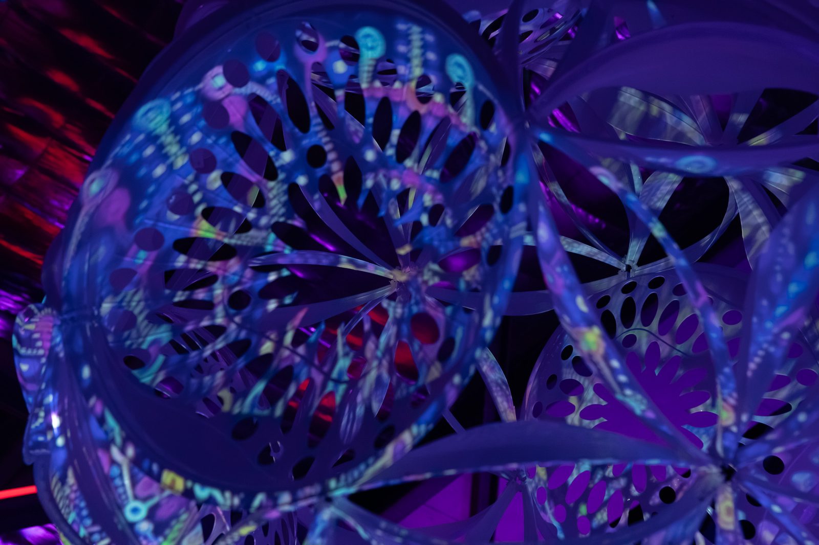 20250920 36a1021
