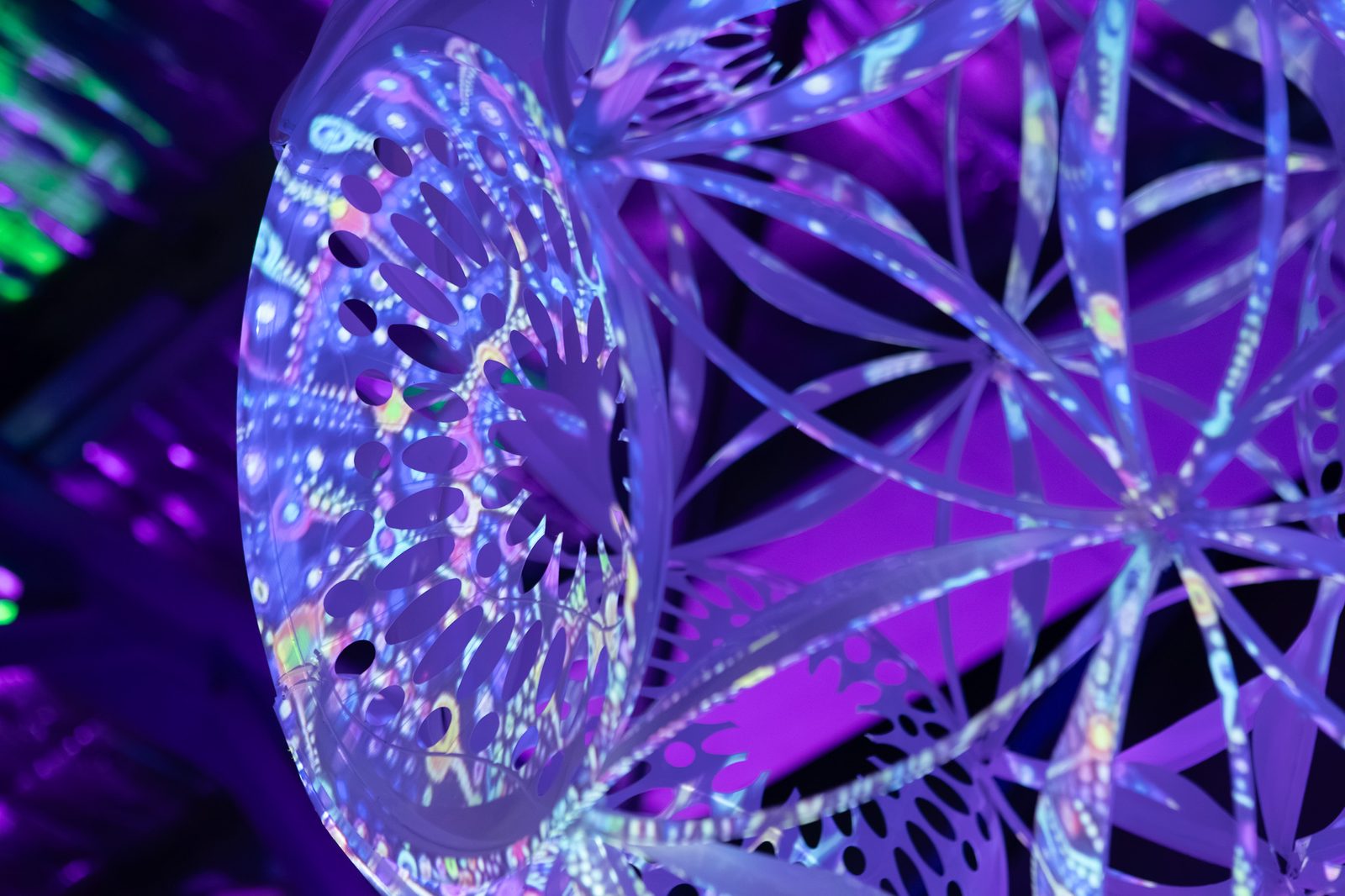 20250920 36a1022
