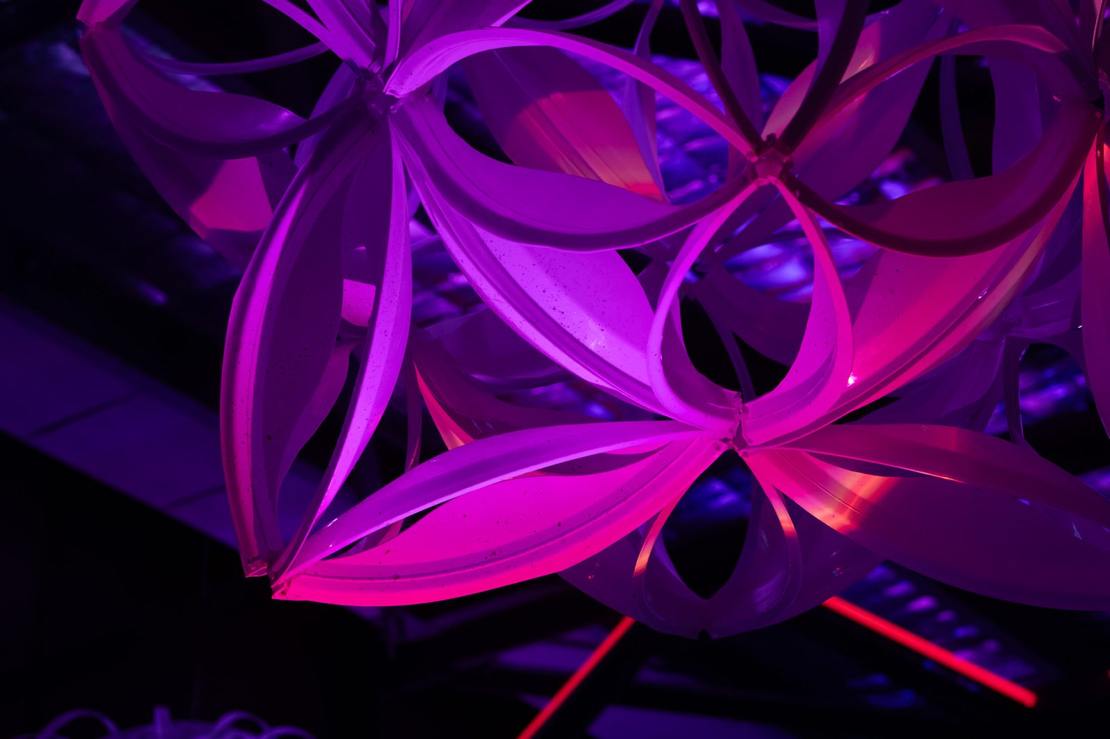 20250920 36a1068