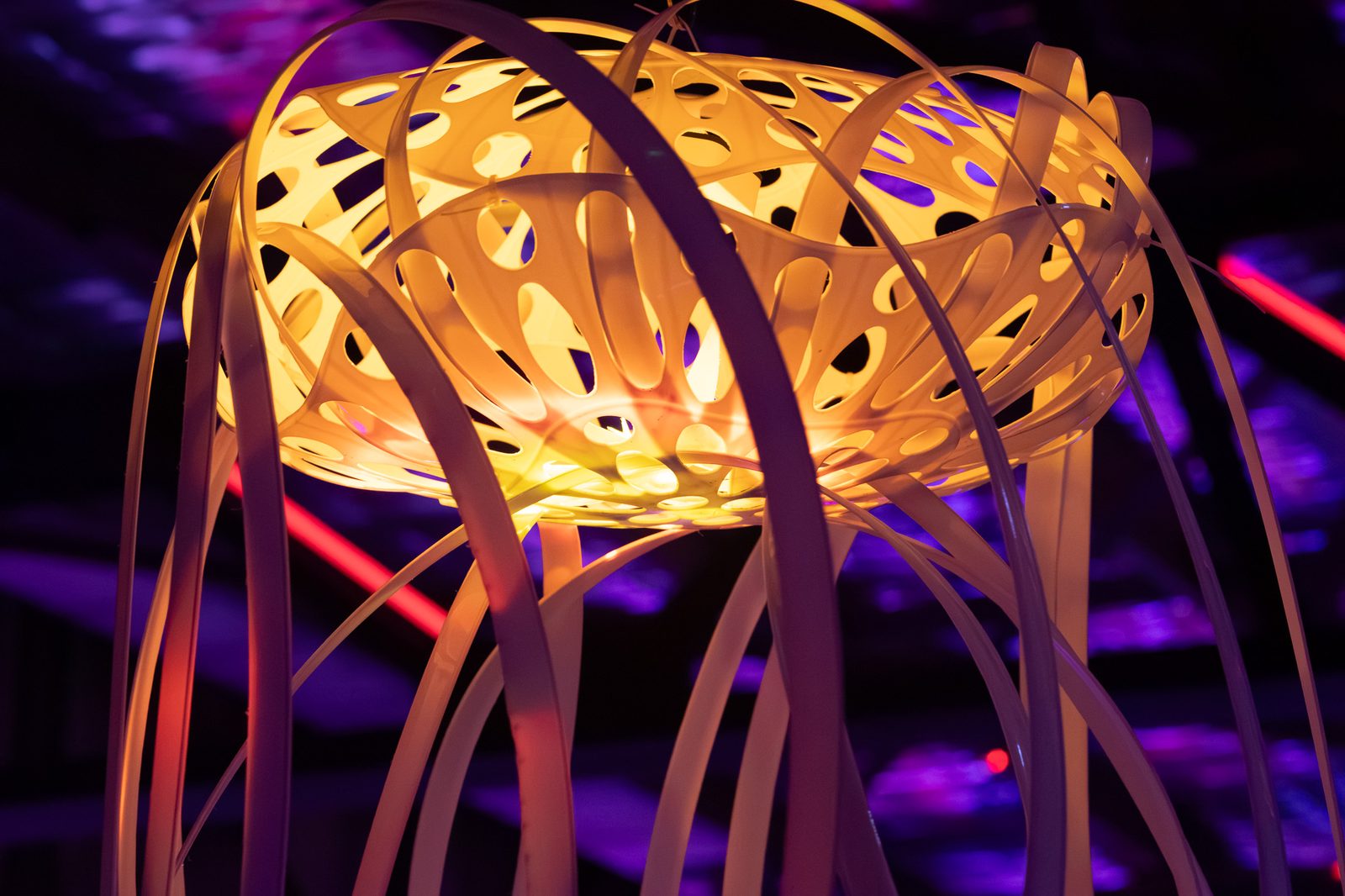 20250920 36a1090