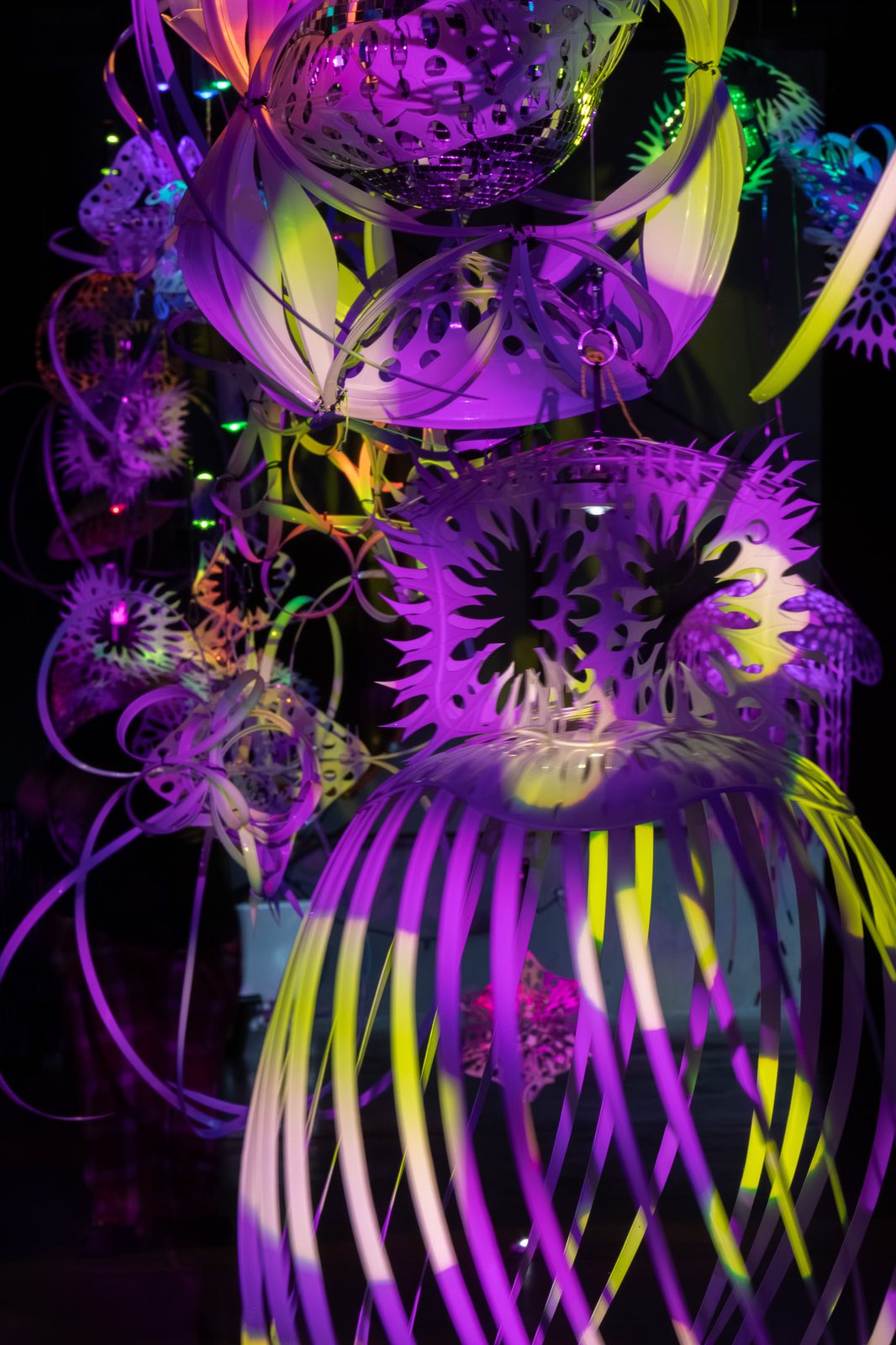 20250920 36a1120
