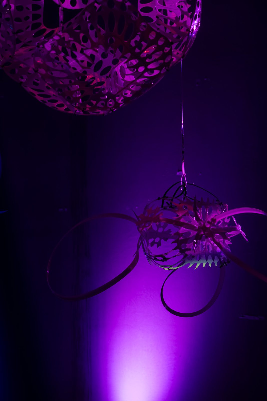 20250920 36a1145