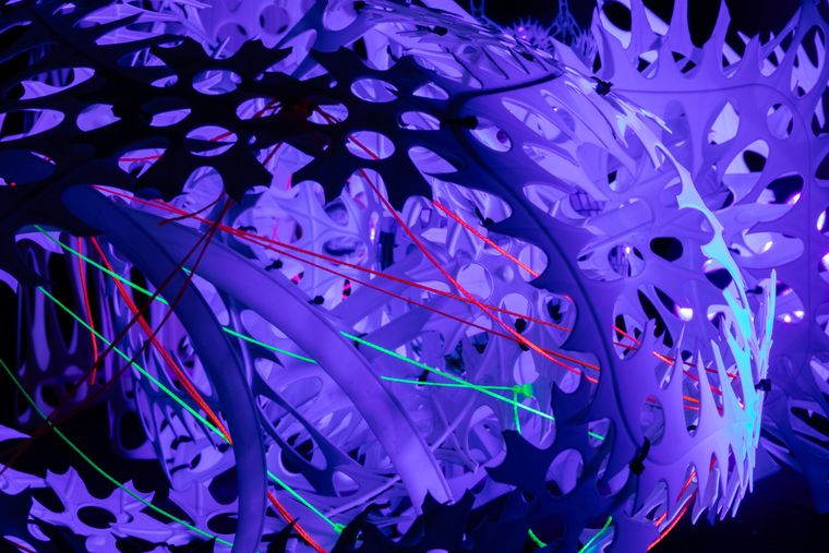 20250920 36a1178