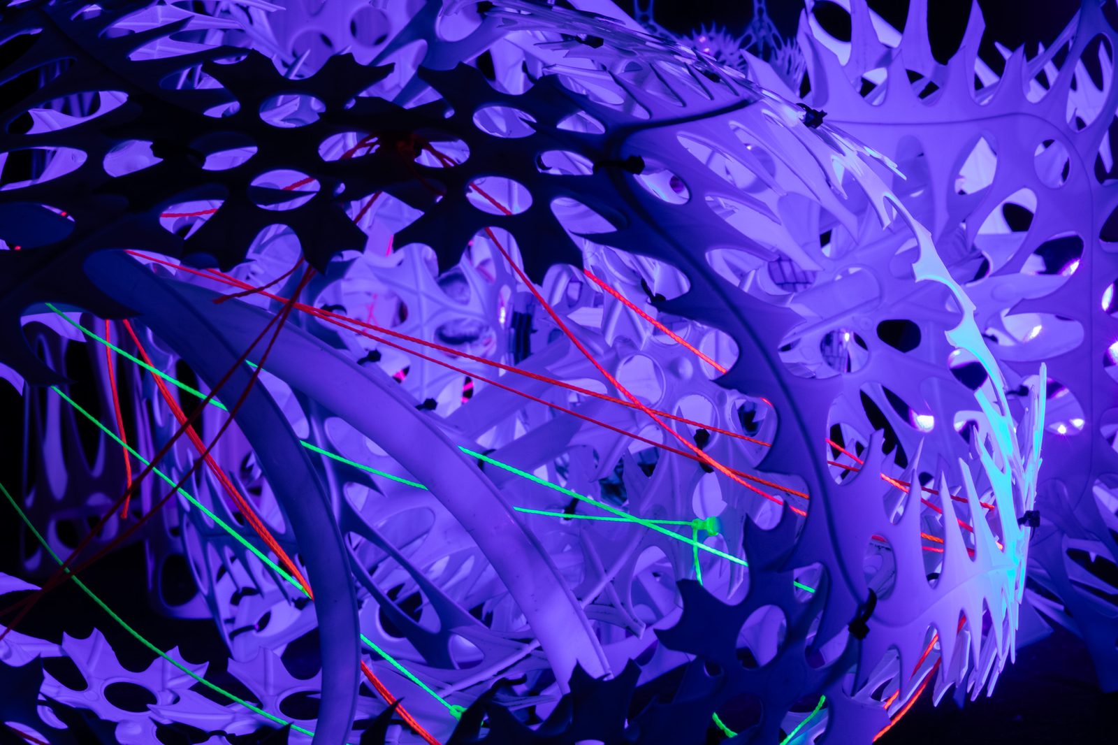 20250920 36a1178