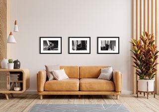 The Ribbon shown in a room